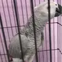 المدينه المنوره
