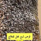 قرص او لسع بنحل للعلاج
