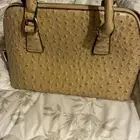 البني والعودي مره تجن ونظيفه استخدام مره وحده