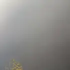 فلاتر فلتر سناب للتخرج