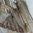هدرز فتك
