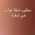 مطلوب شقة في شقراء اجار 6 شهور او 5 شهور
