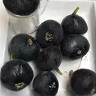 شتلات بلدي منتجه