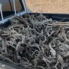 للبيع رمث ددسن غمارتين