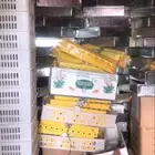 قطع غيار فقاسات وصيانة