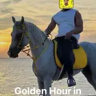 خيول عربيه اصيله للايجار رحلات للبحر