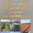 الرحمانيه العفجه الخرج الهياثم الرياض العتيق الريحان نجديه