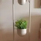 استاند الزرع
