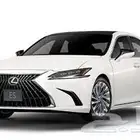 مطلوب لكزس 2023