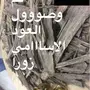 الطيب يااهل الطيب 