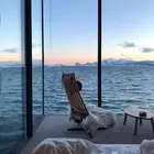 مطلوب شقه للايجار 1500 ماثث مرتبه