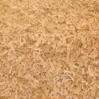نشارة خيل