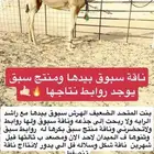 عرض فاخر مصعد كفوا