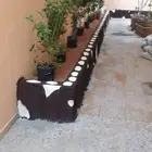 مشتل تنسيق حدائق