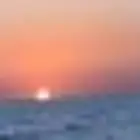 مرس الرايس