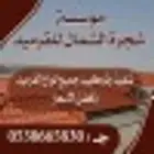 مؤسسه شجرة الشمال للقرميد