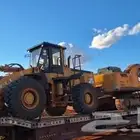 لوبد متواجد في حفر الباطن رفحاء النعيرية