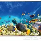 شاشة 75 بوصة سمارت فوكس 4K UHD LED تحديث