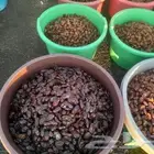 تمور حائل الفاخره