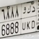 لوحة مميزة د ك و 6888