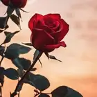 خطابة ام ريتاج