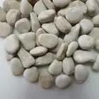 كسر حجر واجهات و ديكورات موزاييك 