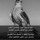 شاعر جزل لكتابة القصايد وتسجيل الشيلات لجميع المناسبات