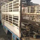 صندوق ديينا طول 4 متر