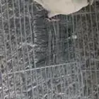 انثى البينو