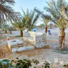 تنفيذ أعمال التراث حجر طين. بيوت لبن