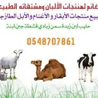 حليب زبدة غنم لبن بقر جبن زبادي لبنة بلدي سمن