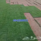 توريد جميع انواع الثيل الطبيعي الفرنسي