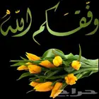 ابحث عن ملحق للايجار الشهري في العزيزية