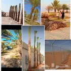 مقاولات اشبوك جميع انواعها
