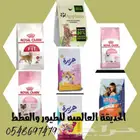 طعام للقطط ومستلزمتها