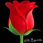 طباخ سعودي ابحث عن مشروع مطعم