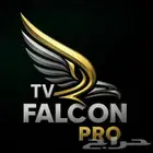 اشتراك فالكون