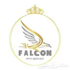 اشتراك فالكون 50  FALCON سنة كاملة