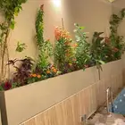زراعه طبعيه