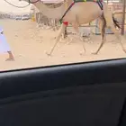عرض فاخر للبيع صعود