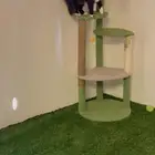 فندقة قطط طائف