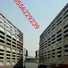 تريله نقل غنم ومواشي