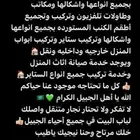 تركيب اثاث ايكيا وجميع الماركات العالميه المستورده والوطني
