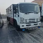 دنه لوري متواجد في شروره نجران