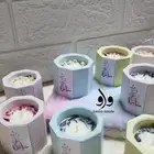 توزيعات مواليد