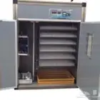 ( للبيع فقاسات صينية بمقاسات مختلفه ونتافات دواجن  ) 