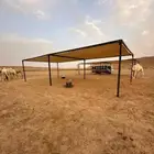 مضلات الإبل