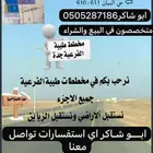 يوجد لدينا اراضي للبيع في طيبه الفرعيه شمال جدة