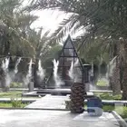 ضباب رذاذ