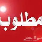 ابحث عن شقه صغيره عائليه
